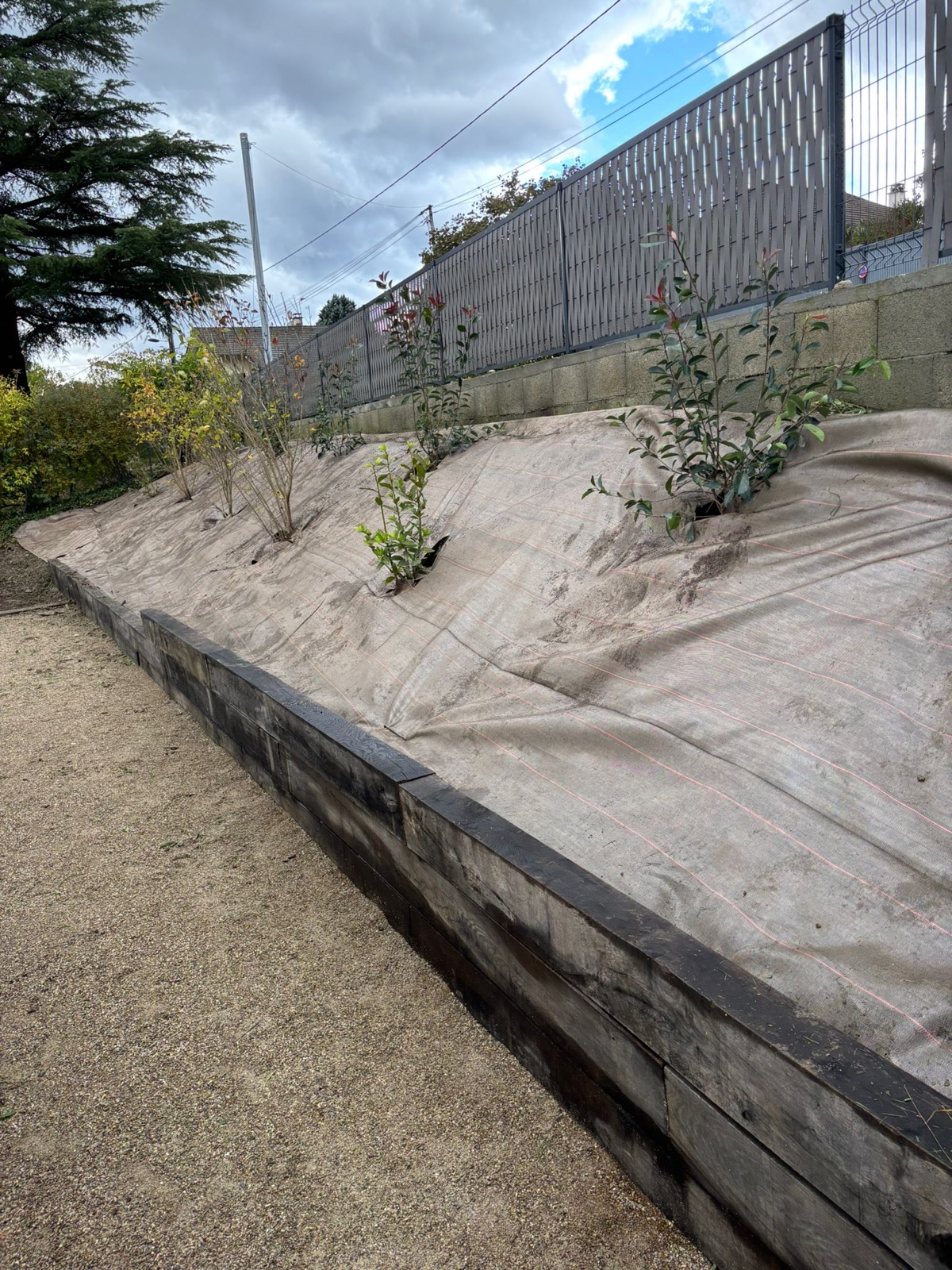 Plantation sur un talus paysager par Paul Paysage
